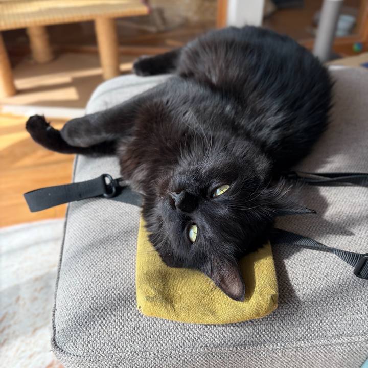 Cac1fa14 616e 423b 914c aab8abc74c5c 1771291051680