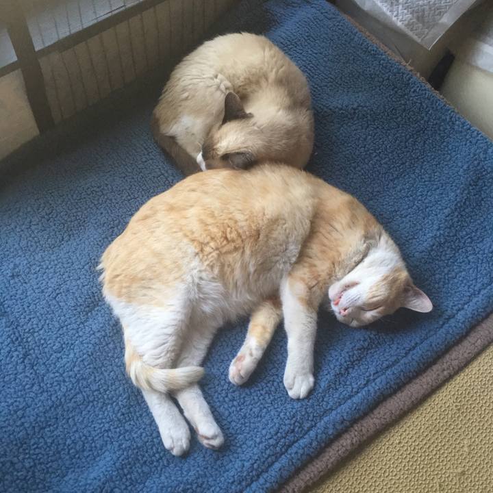 Cac22c41 17ca 45ab a840 f204ebccd253 1527919727073