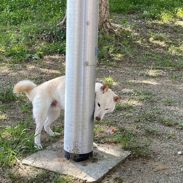 Cac24f66 3ac1 4a36 ac8a a52c2d06942d 1651574876881