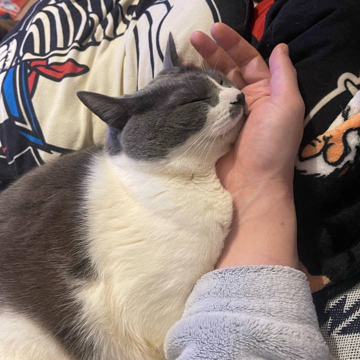 Cac27974 7762 4fa1 a673 44d3f5be1fae 1741869744936