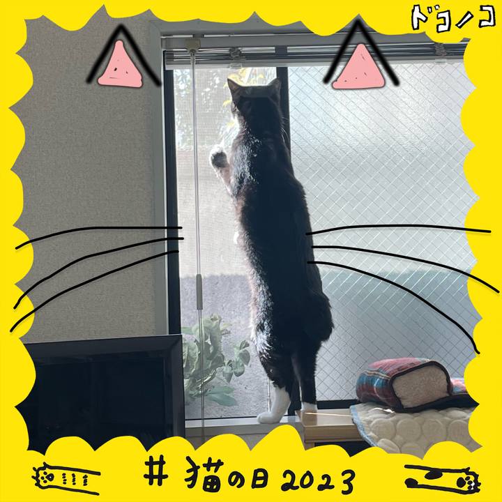 Cac303bb 2314 4cd6 93cb 98cae7f4836e 1677061113966