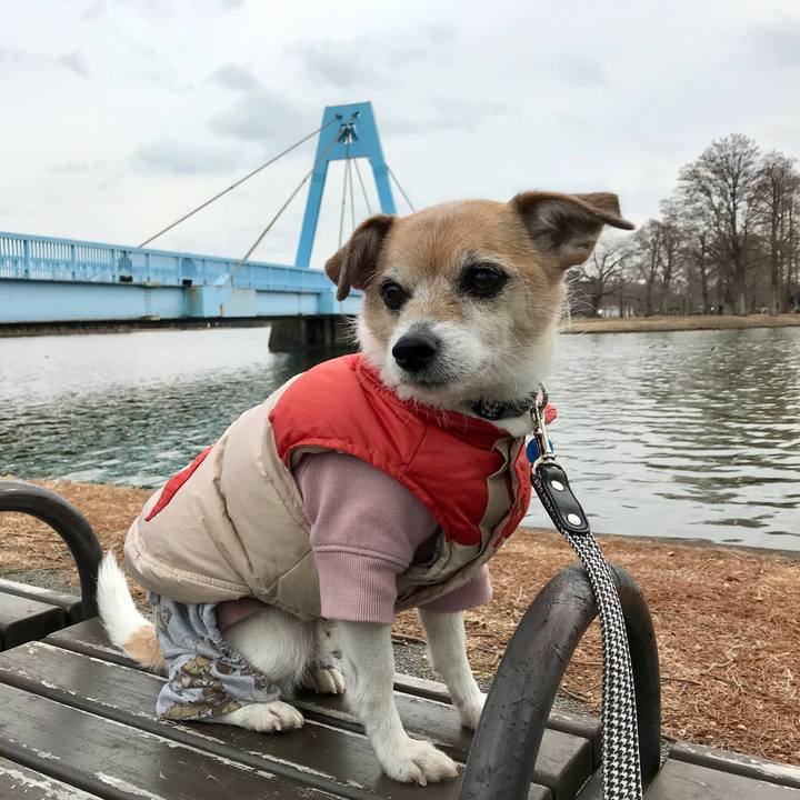 Cac36927 435a 45e0 bac7 abc5f9166a74 1642916436533