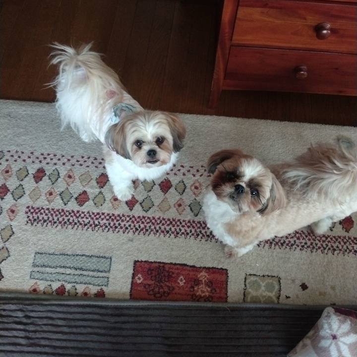 Cac3c1f6 0797 4783 bd7b d8c1b665310a 1666834983630