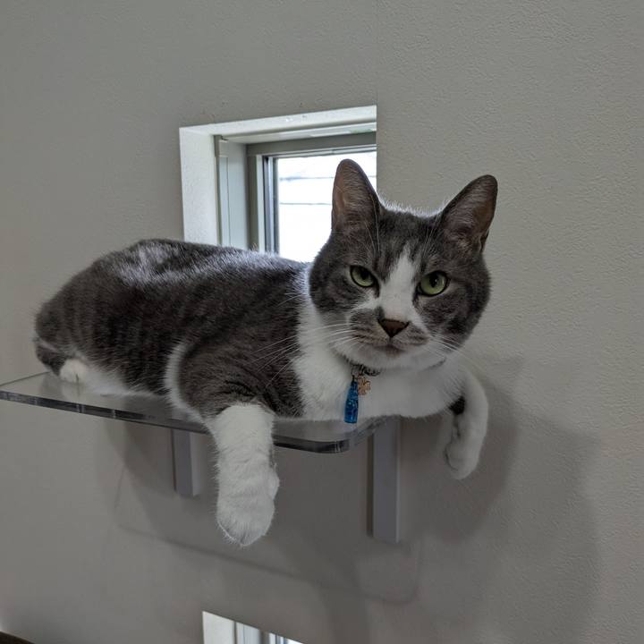 Cac3d5c0 b4bb 402c 8ebb 60cdf5b21516 1753584083924