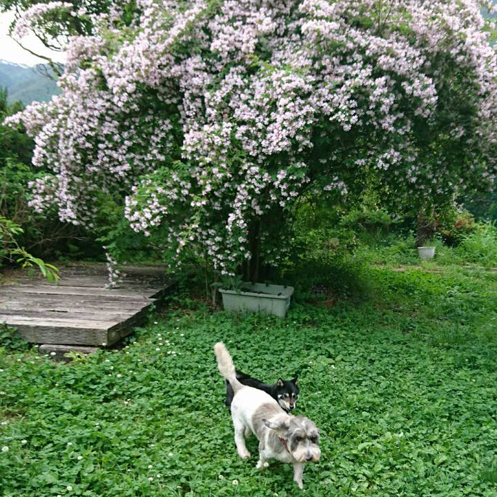 Cac4001a 1e3f 4ef8 b6b9 934ae8871ae5 1559972276799