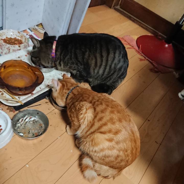 Cac405a8 839f 4ea7 99f9 34857f843eeb 1643800385777