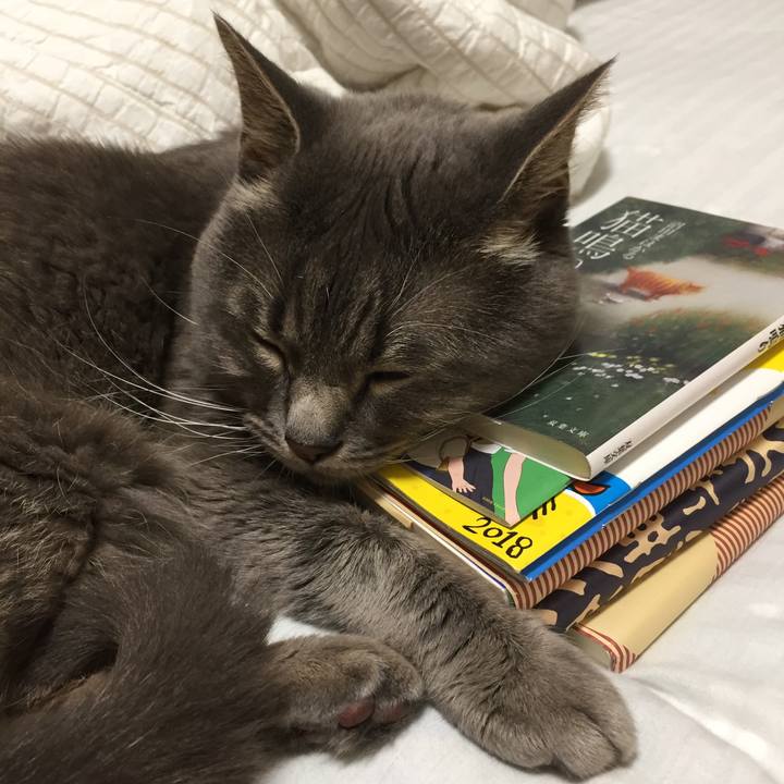 Cac41efc bdf7 4520 ab45 bdf2f5bf4578 1535199837099