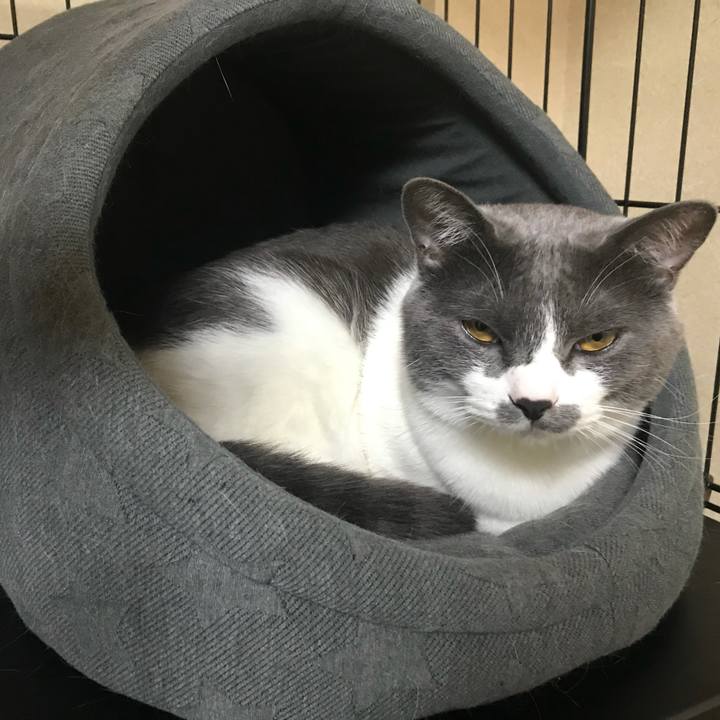 Cac4578e 7b06 43e1 96fd cd9abcd557b6 1623399628119