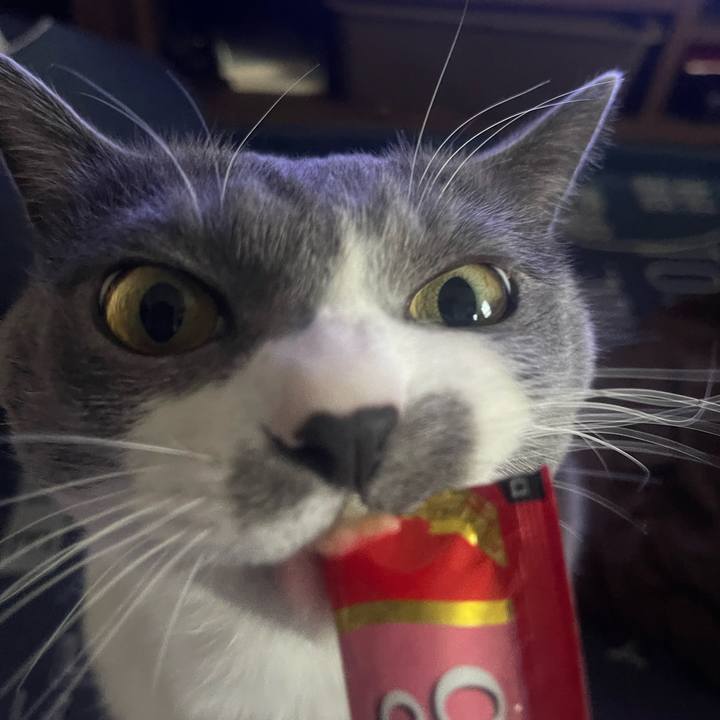 Cac4580a 0056 4594 8365 7797488e1e5b 1706428185843