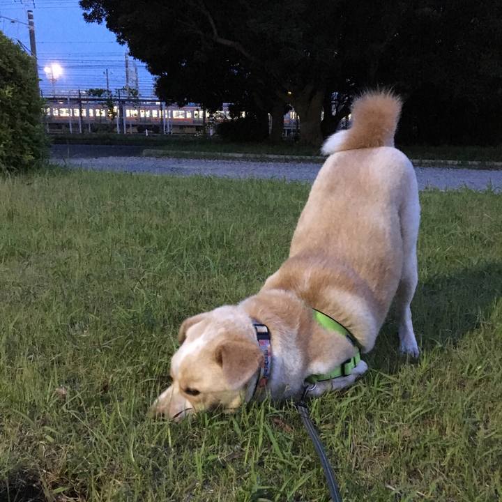 Cac45c7f c6d0 4ae9 946b a06ddf588c44 1527251339144