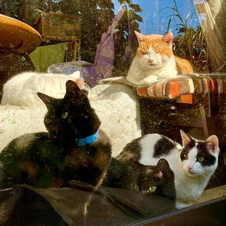 Cac48f55 b09c 466b 8a93 224271030978 1666931355638