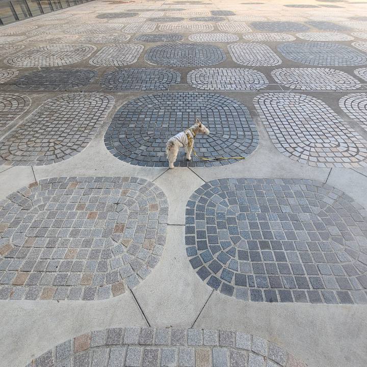 Cac4f268 b912 42d7 9c62 6b733bf1e010 1697886648146