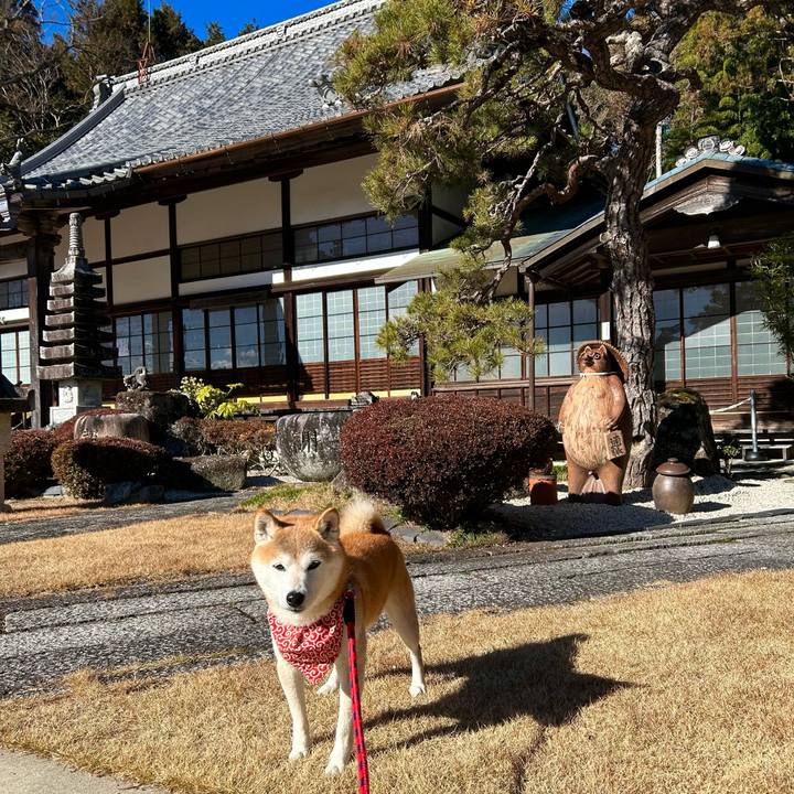 Cac51055 4398 4a86 9ec5 9298119fc4ec 1704359269194