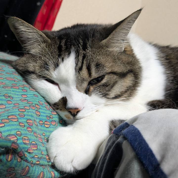 Cac535a8 0106 457a bd88 14249d323b2c 1772876842163