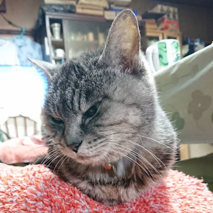 Cac557e6 a4be 4078 9f59 69bbdd757ac7 1579993555902