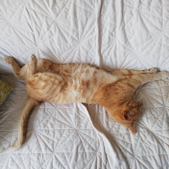 Cac56d70 744e 4d68 b6c6 8647e294034e 1688792348981