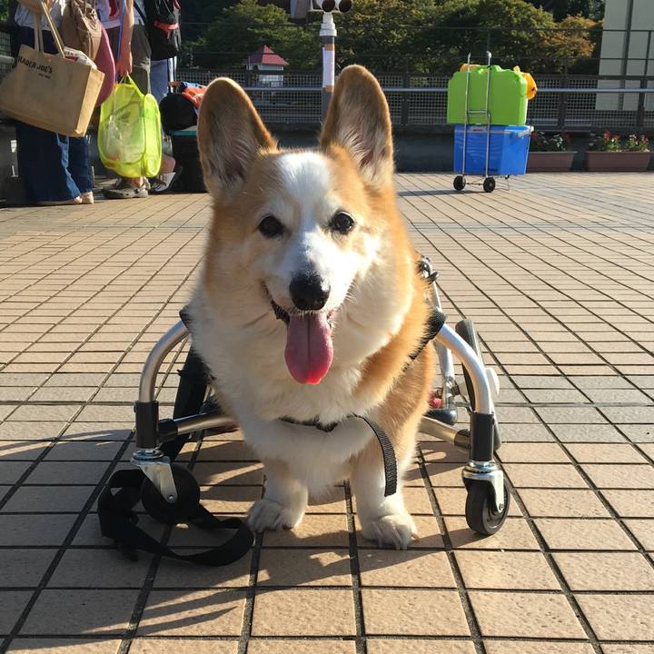 Cac5d399 1d72 46fb b11a ffe6d449313b 1534597348800