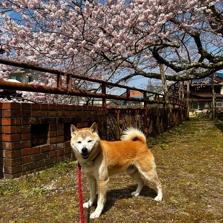 Cac6519c ef94 4a9d 8e80 6c867f10b909 1774695948661