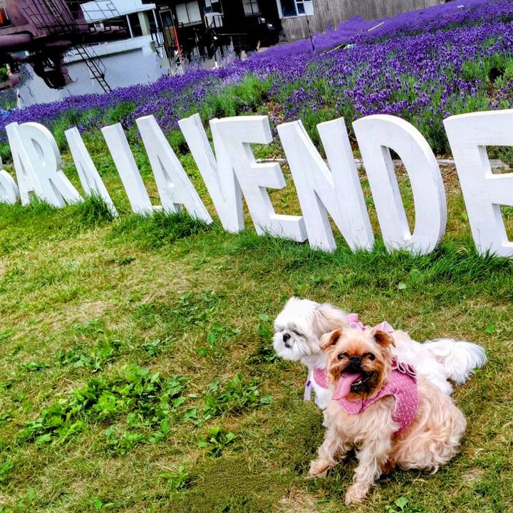 Cac662ba 568f 4fa4 b090 3aa6f0ebf9de 1690095903439