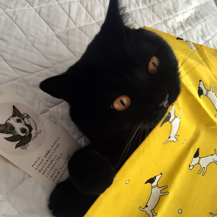 Cac69686 db78 43ab a914 16e26d1cf4fc 1527236854952