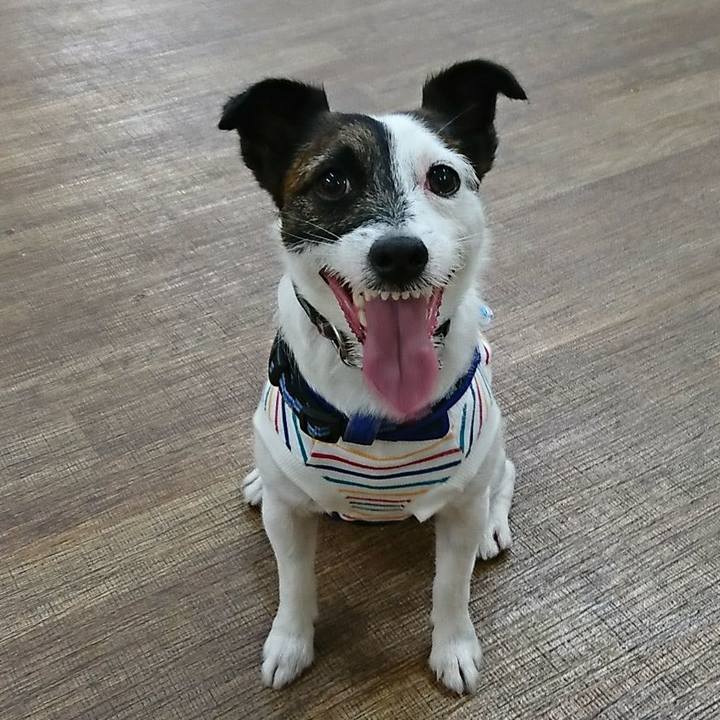 Cac6b820 b217 4772 a458 9bca136100ec 1528076322748