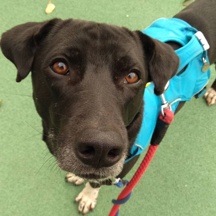 Cac6c4b8 fb15 4389 9564 22638c000937 1613088376765