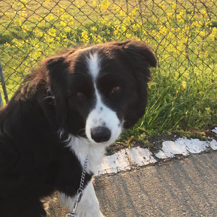 Cac6d74c 5551 415b bc4a 1ebb49819b8f 1552001065572