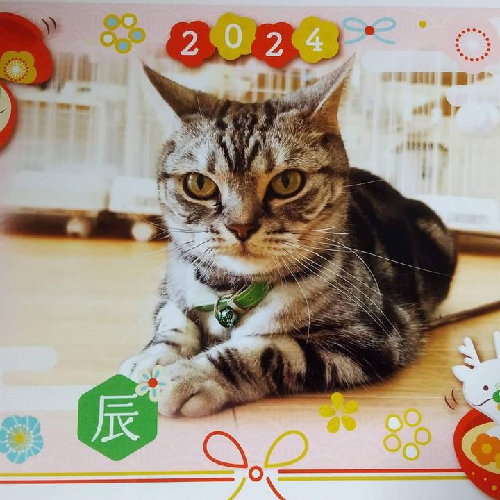 Cac6f835 a2bb 4e50 862c 40b028572357 1704077883266