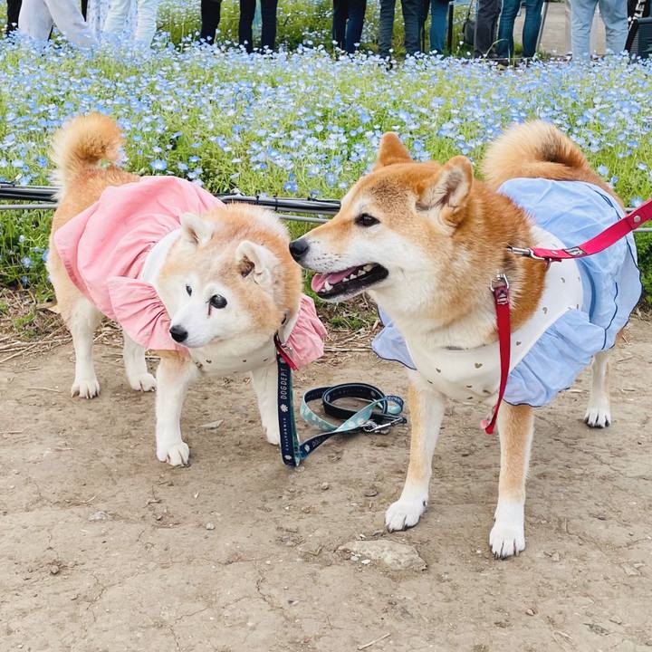 Cac70a79 1fea 4167 a4dc 0bd9eb9f878b 1746414847047