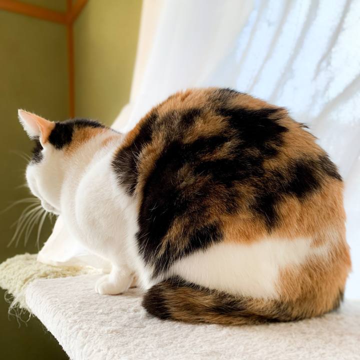 Cac71150 5cef 4c25 952a 485e90ff26db 1583112530157