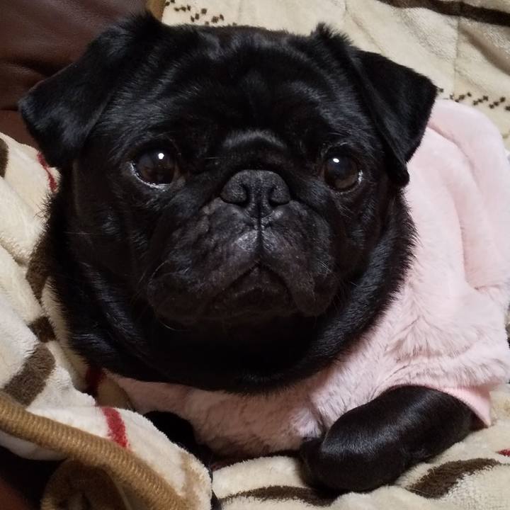 Cac73222 eabf 48c6 aca2 d8125170a4be 1582552741668