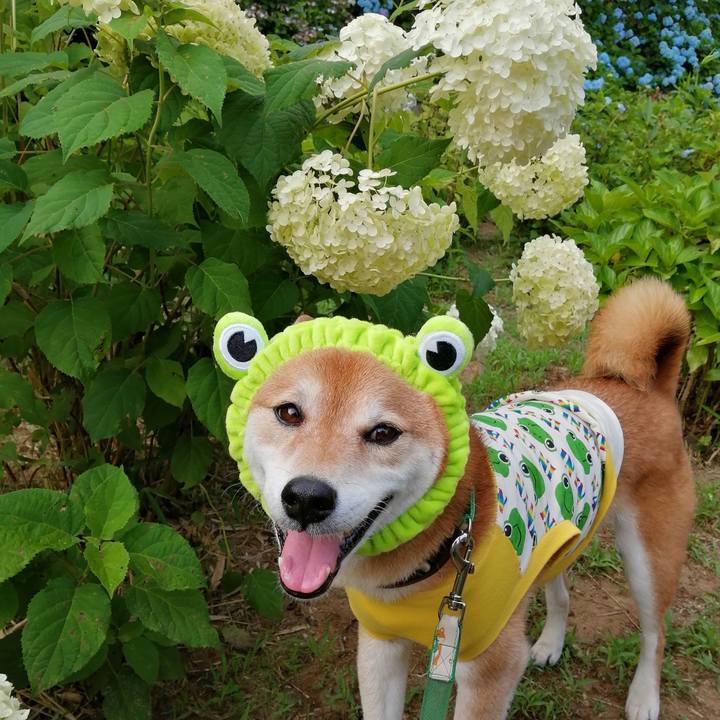 Cac742ae fb17 4def 813f 7a19d1a73604 1656816683844