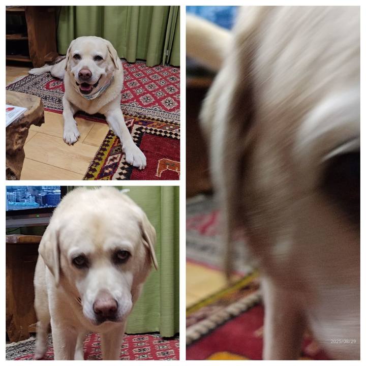 Cac746ea df4a 44cd 8f11 27ac1f954488 1756468800299