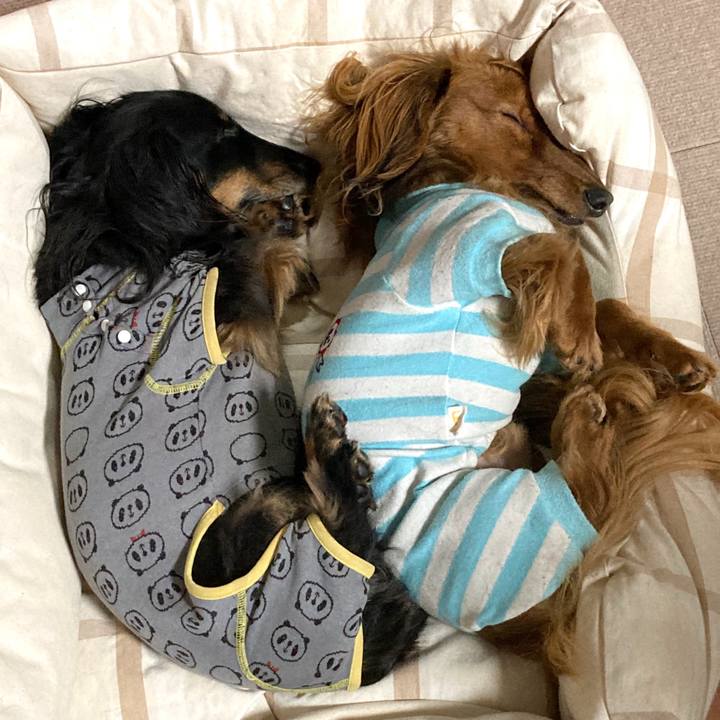 Cac7508d 980e 494c 921c fc18de99f608 1746104293839