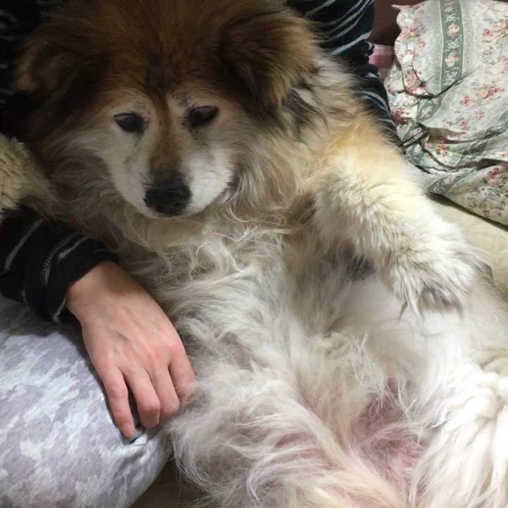 Cac75270 d136 4fb8 8a95 d80161308fa0 1562755760949