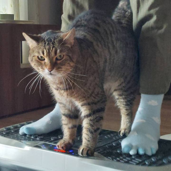 Cac78032 3e30 4642 bc00 09a3b7b9616f 1660607689037