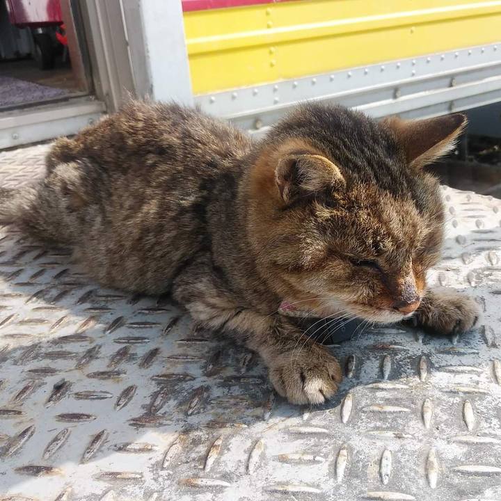 Cac7966c d2da 4814 ab7c 1e397bfe84d8 1648207131722