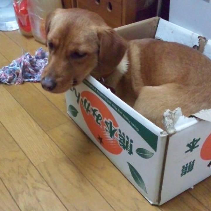 Cac7b395 f2e0 49ef 95ad dee4cd688941 1515778723504