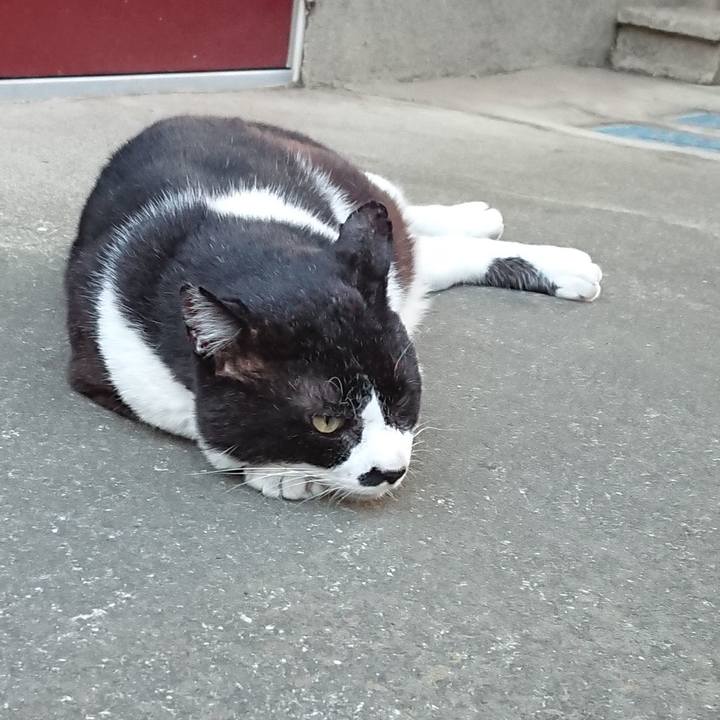 Cac7c999 991e 423f b561 b16114dbd571 1591347137098