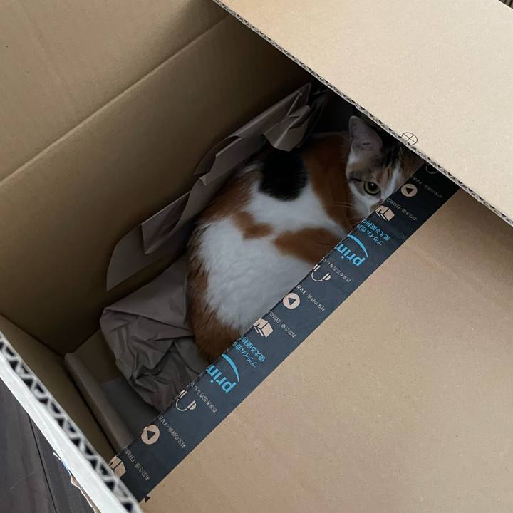 Cac872ca f6f5 4bd3 9aa4 841899b9fd9b 1719185863696