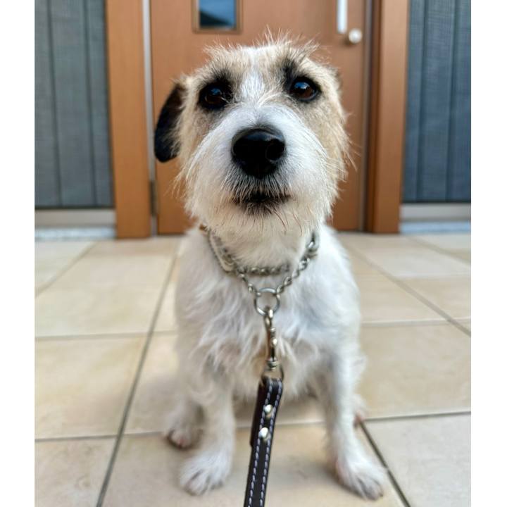 Cac87a5e 58dc 4a57 ac84 78ab9685941c 1735620433751