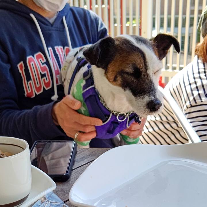 Cac888ee ceae 4f88 8d2d 345ba8a20d5d 1618924181283