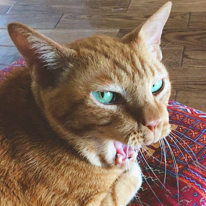 Cac8b583 eea9 467a b07e 1cfaa690431d 1570069367920