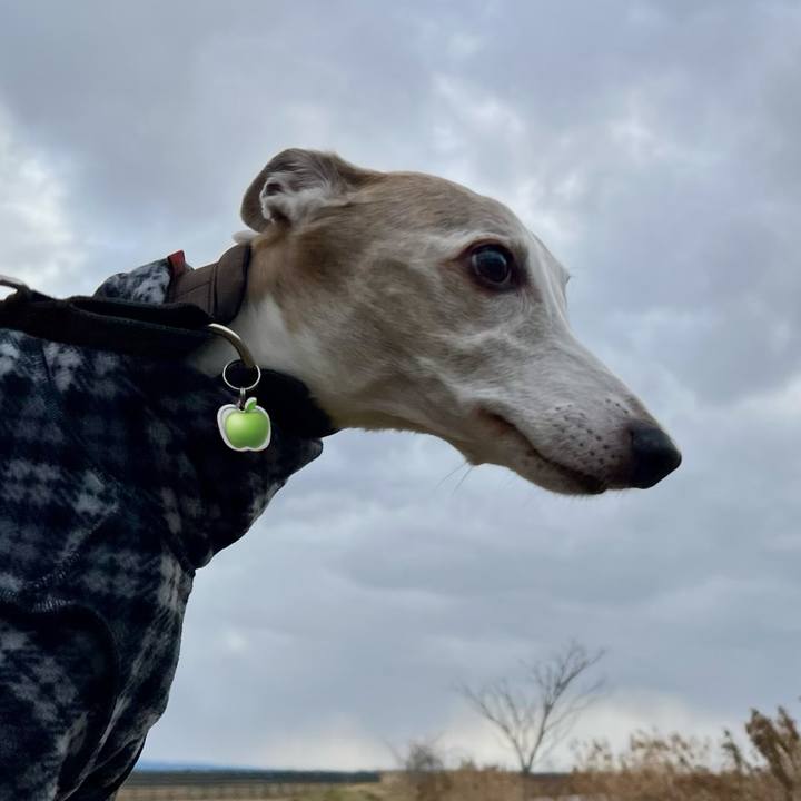 Cac8bb7b 2917 4f26 9e98 befbf25d7b30 1766479619044