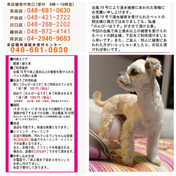 Cac8f374 15b6 4bcd b290 99e3cc4b4502 1570962358189