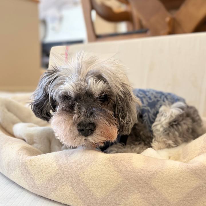 Cac90082 57ba 422e 82b4 5dc7a13f0f7b 1766716922052