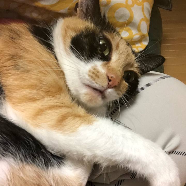 Cac91ebb 90fb 4a03 b8e8 e08c4c673df2 1556544371635