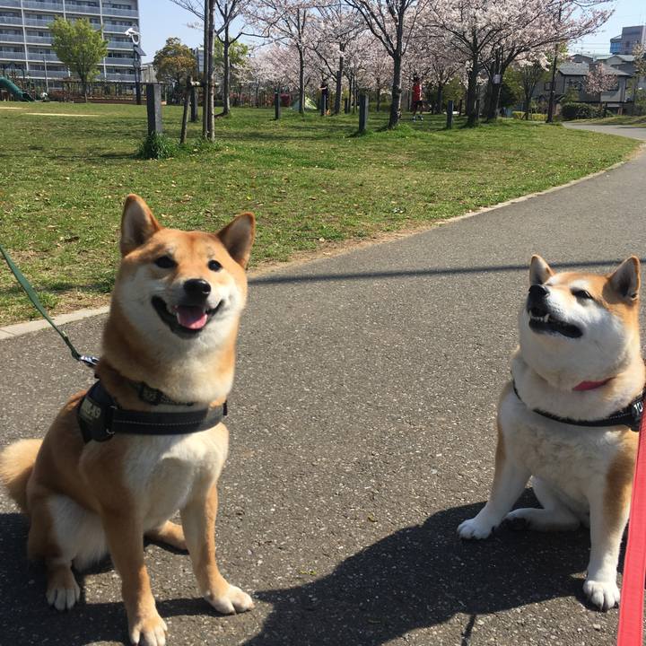 Cac9203f 6bea 4bc9 a761 275b27791fb5 1616810471446