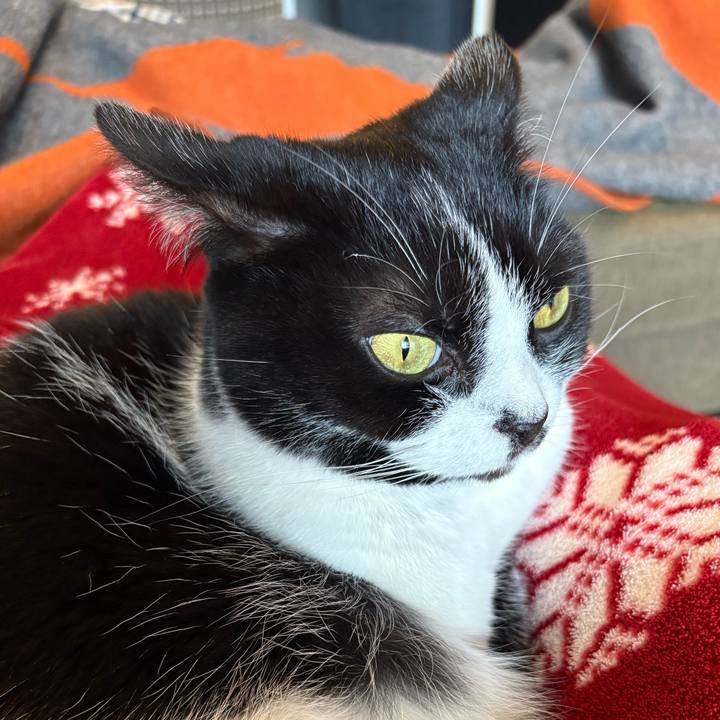 Cac92cb0 0634 444a a9ef 2eb5fbb6f16e 1770775257299