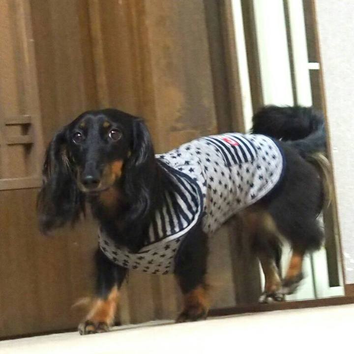 Cac9350b 42dd 4b5b 81fb 45ff00eeebdc 1508898371477